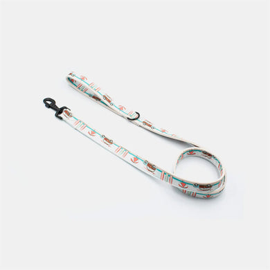 Beach dog leash