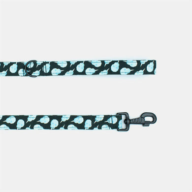 Candy skulls leash