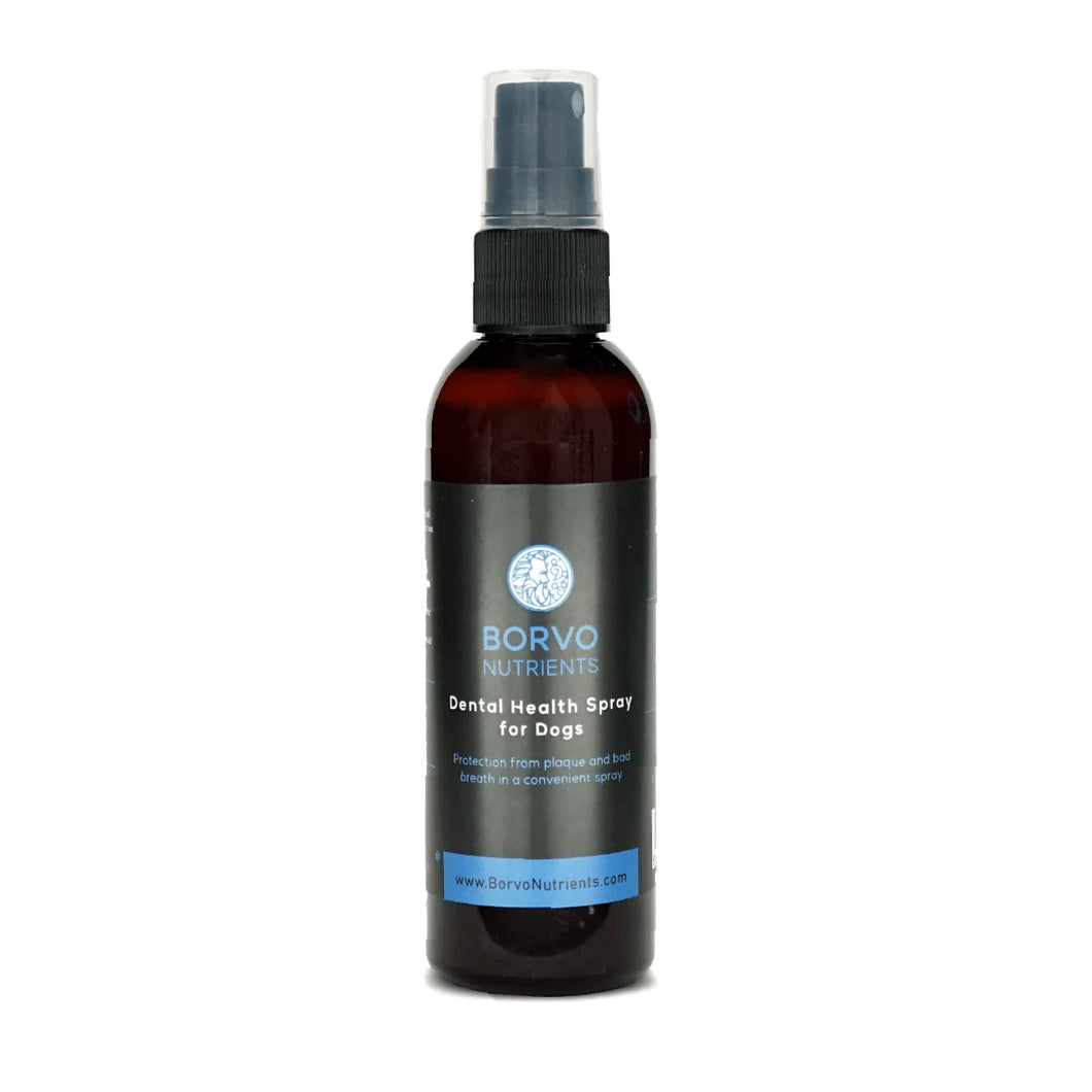 Herbal extract dental spray 100ml