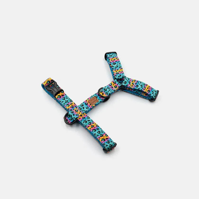 Fusion leopard harness