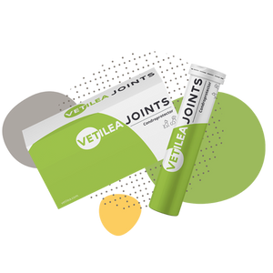 complete hip & joints 28 tablets