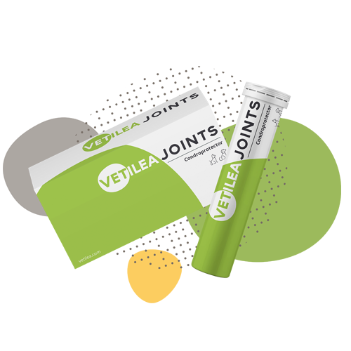 complete hip & joints 28 tablets