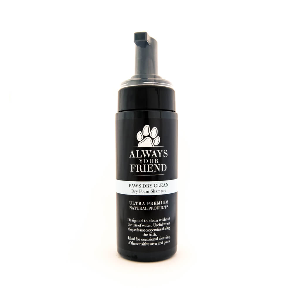 Dry Shampoo 150ml