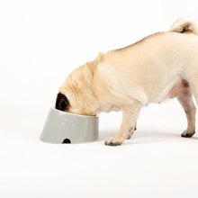 Load image into Gallery viewer, Flat Faced Dog Bowl