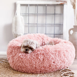 Calming Bed