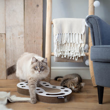 Load image into Gallery viewer, Snake Cat Scrather &amp; Toy