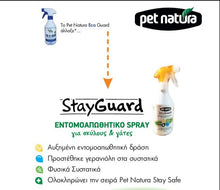 Load image into Gallery viewer, Antiparasite Spray 500ML